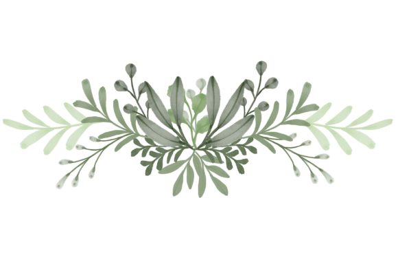 Arrangement of Green Floral Watercolor Illustrations