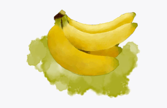 Banana Watercolor Painting Illustrations