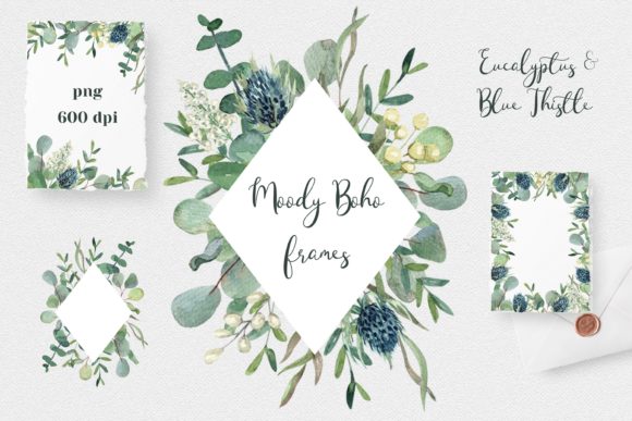 Eucalyptus Thistle Watercolor Frame Illustrations