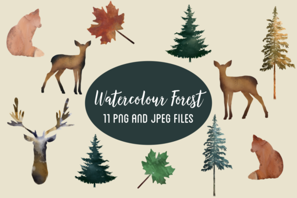 Fall Watercolor Forest Illustrations