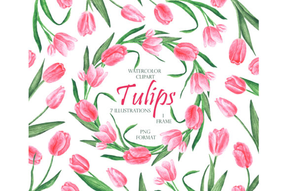 Pink Tulips Watercolor Clipart. Wreath. Illustrations