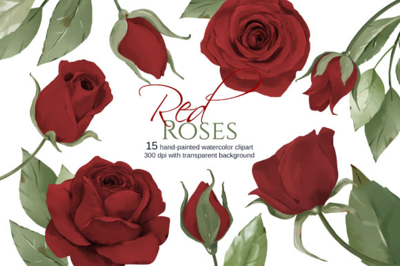Red Roses Watercolor Set for Illustrations