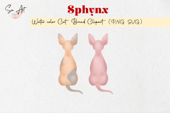 Sphynx Cat Breed Watercolor Illustrations