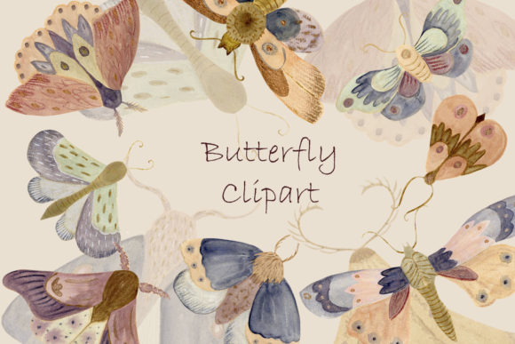 Watercolor Butterfly Moth Illustrations