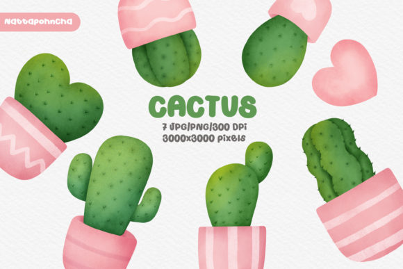 Watercolor Cactus Png Clipart
