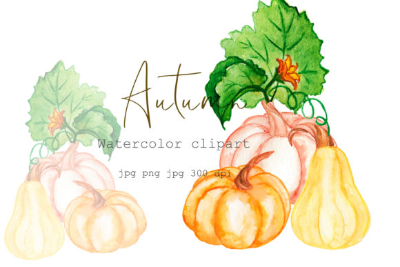 Watercolor Clipart Autumn Pumpkin Print and Illustrations