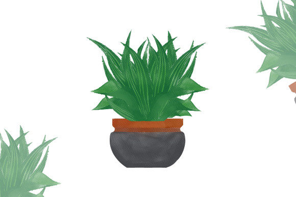 Watercolor Design and Illustrations