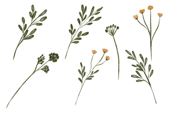 Watercolor Floral Element Set Foliage Illustrations