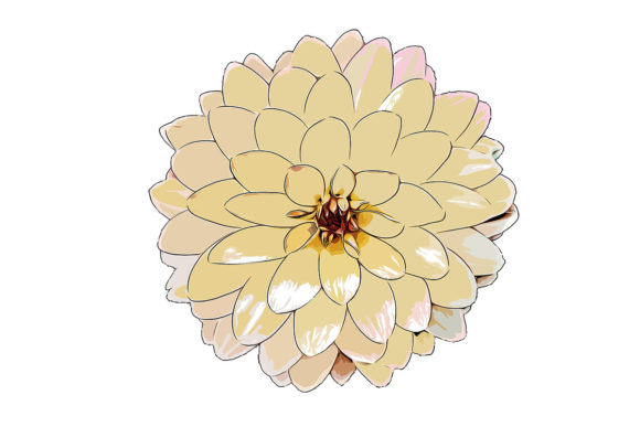 Watercolor Flower Drawing and Illustrations