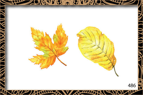 Watercolor Hand Painted Autumn Leaf 486 Illustrations
