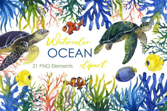Watercolor Ocean Clipart Sea Turtle Png and Illustrations