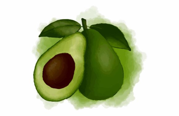 Watercolor Painting Avocado Illustrations