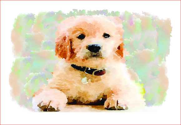 Watercolor Puppy Dog PNG, Illustrations