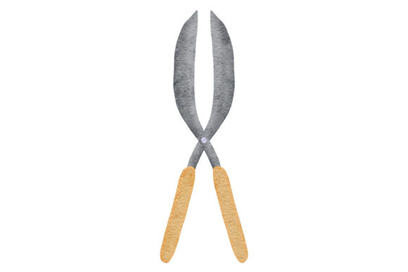 Watercolor Scissors Gardening Tool Paint and Illustrations