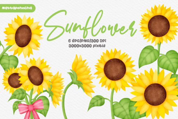 Watercolor Set of Sunflowers Clipart and Illustrations