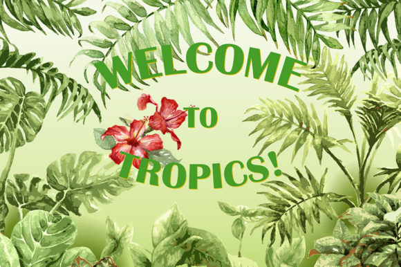 Watercolor Tropical Plants Illustrations